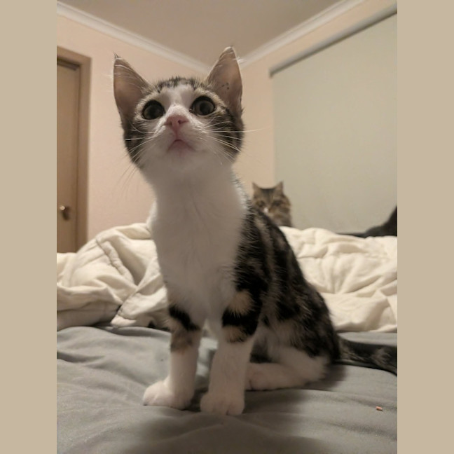 Photo of Mort