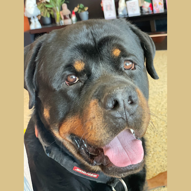 Photo of Stanley