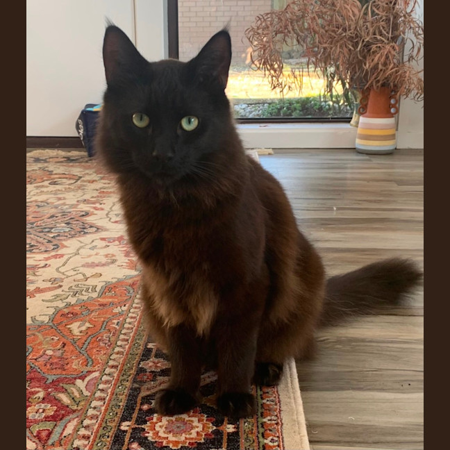 Photo of Puff