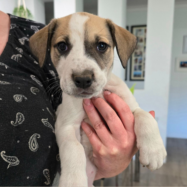 Photo of Lumpy Space Princess