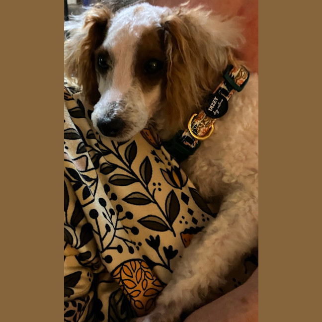 Photo of Asher