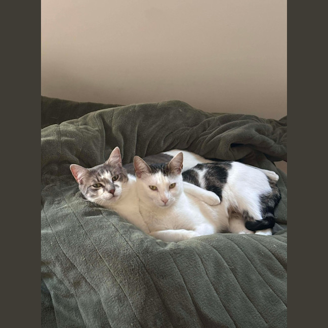 Photo of Cloud & Pebble