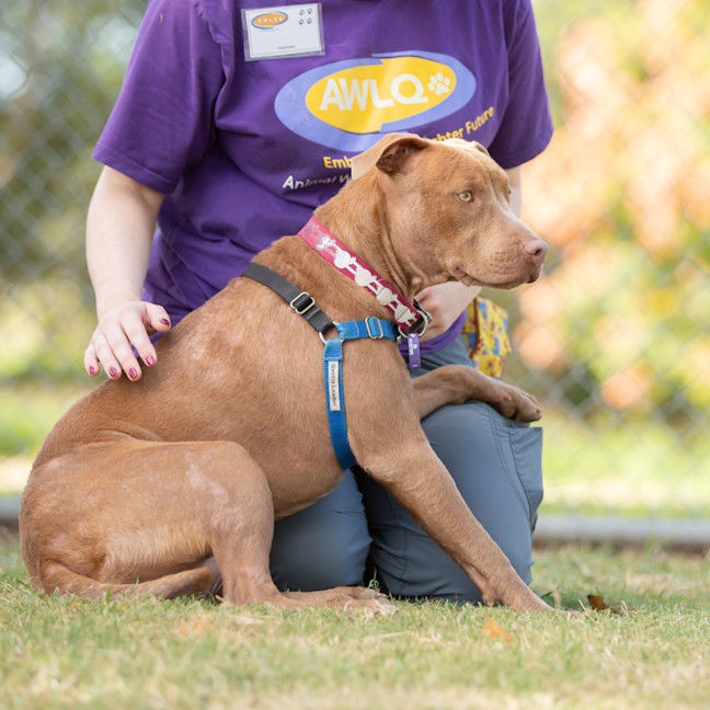 Photo of Enid