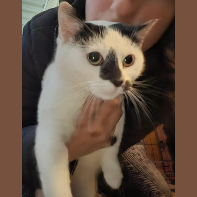Photo of Milly