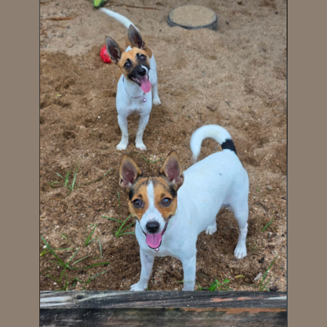 Photo of Tully And Rose