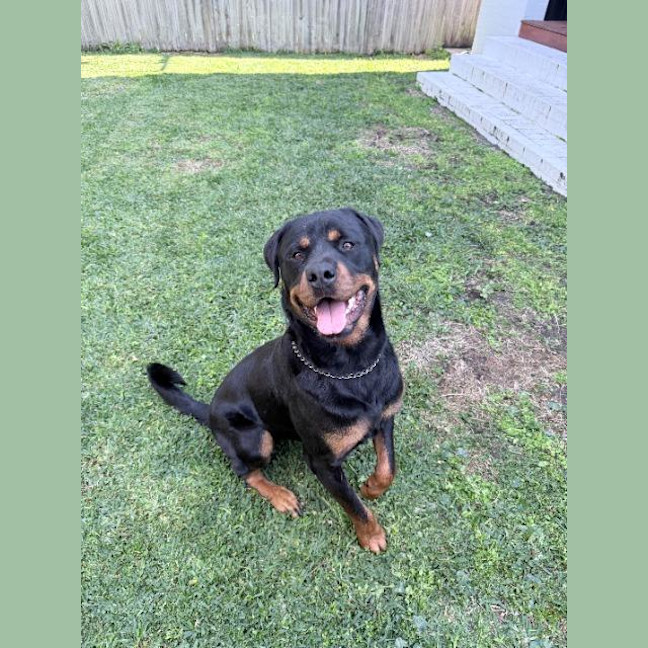 Photo of Murphy