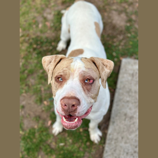 Photo of Freckle