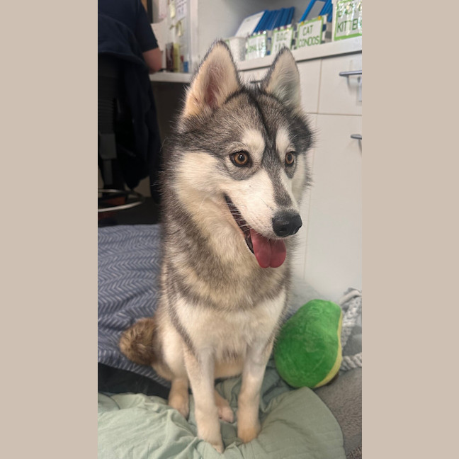 Photo of Miss Grayson