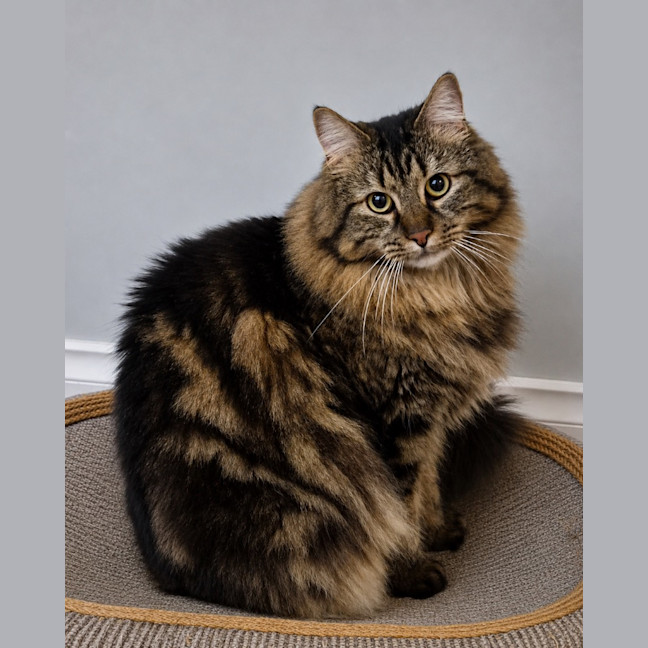 Photo of Evie