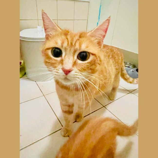 Photo of Bertha