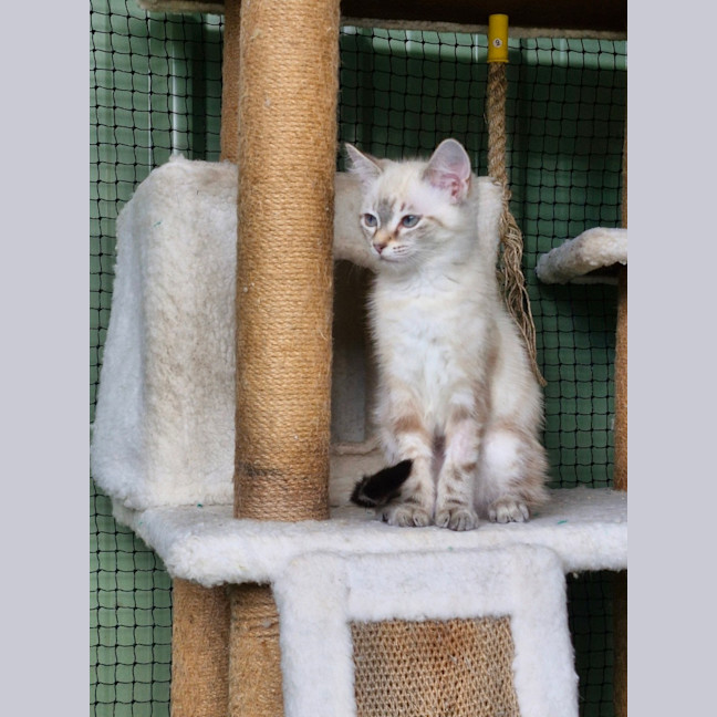 Photo of Marie