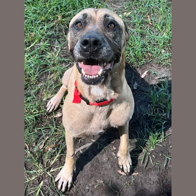 Photo of Roxy