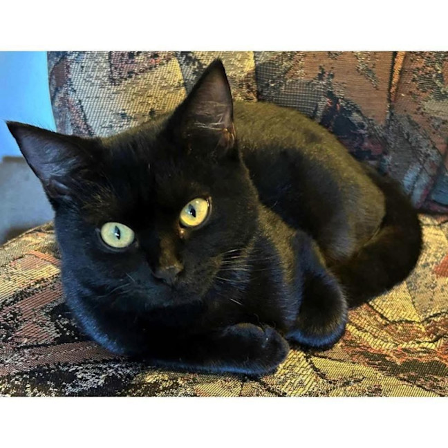 Photo of 12248   Macy