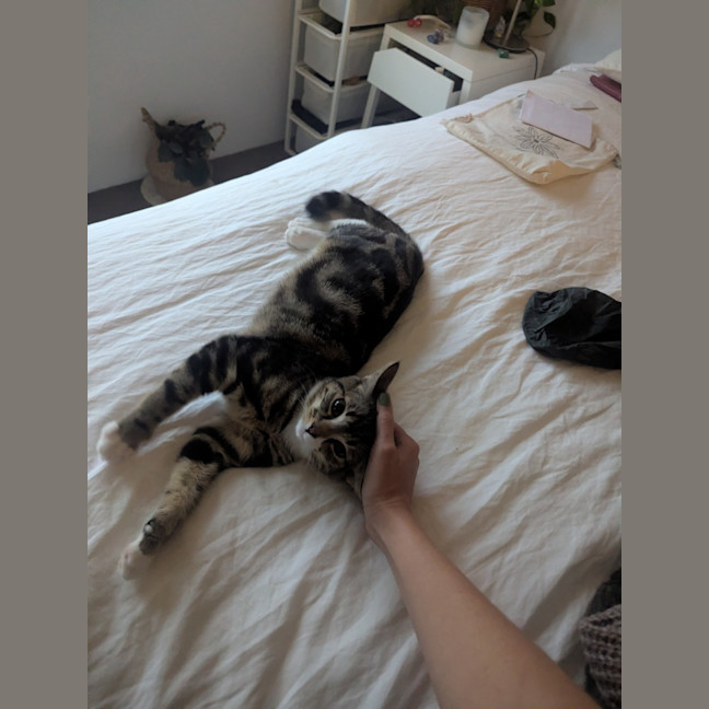 Photo of Bean