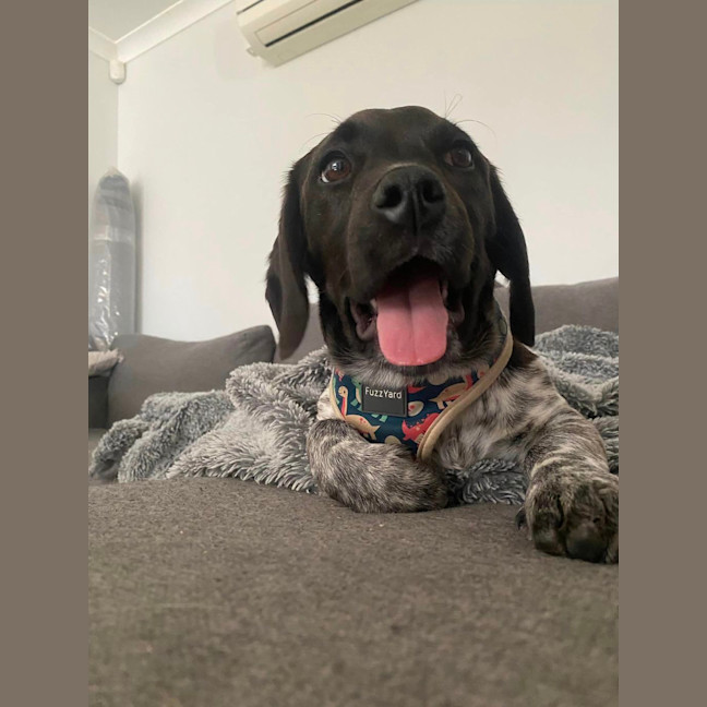 Photo of Echo