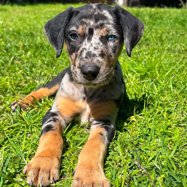 Photo of Kenzo
