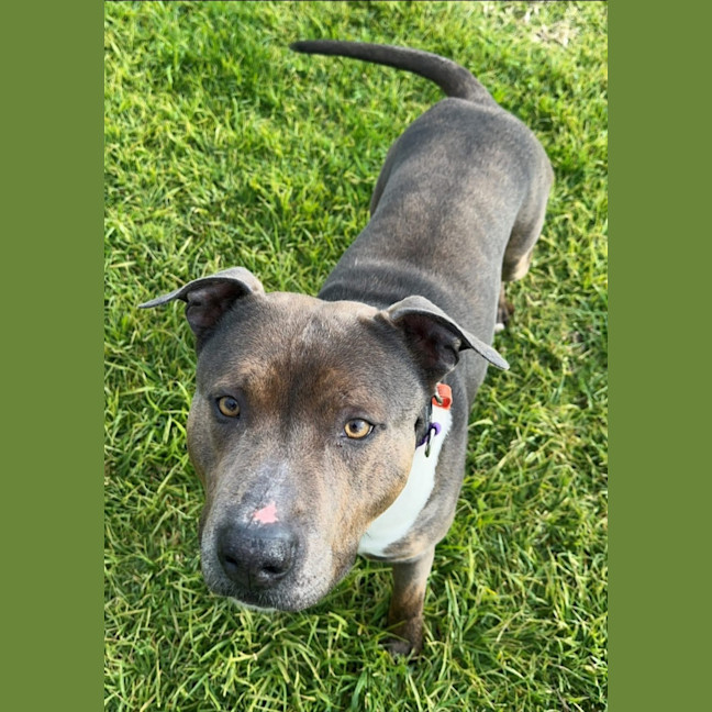 Photo of Trevor