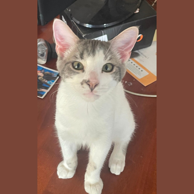 Photo of Oliver