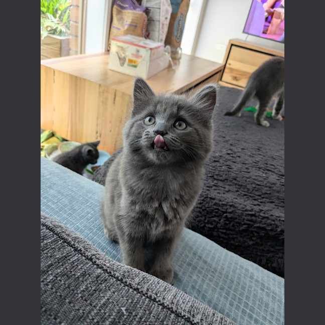 Photo of Storm