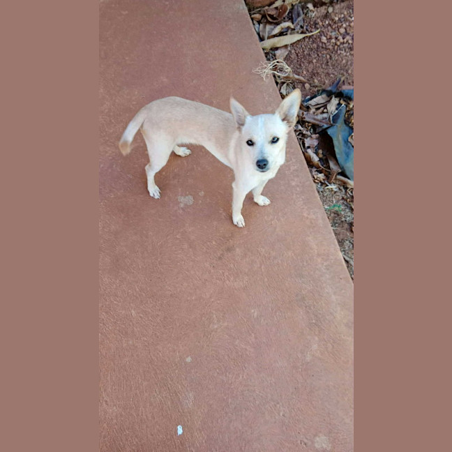 Photo of Sandy