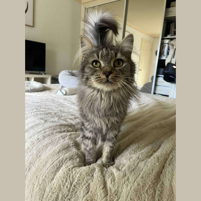 Photo of Princess Grace