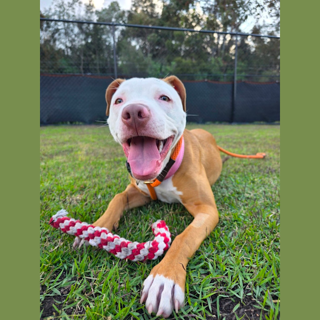 Photo of Diamond