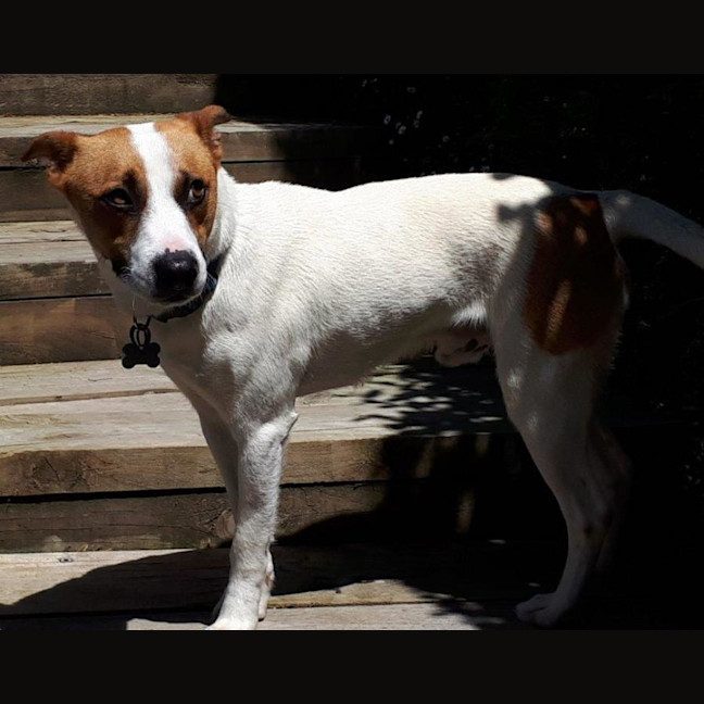 Photo of Jackson Moriarty