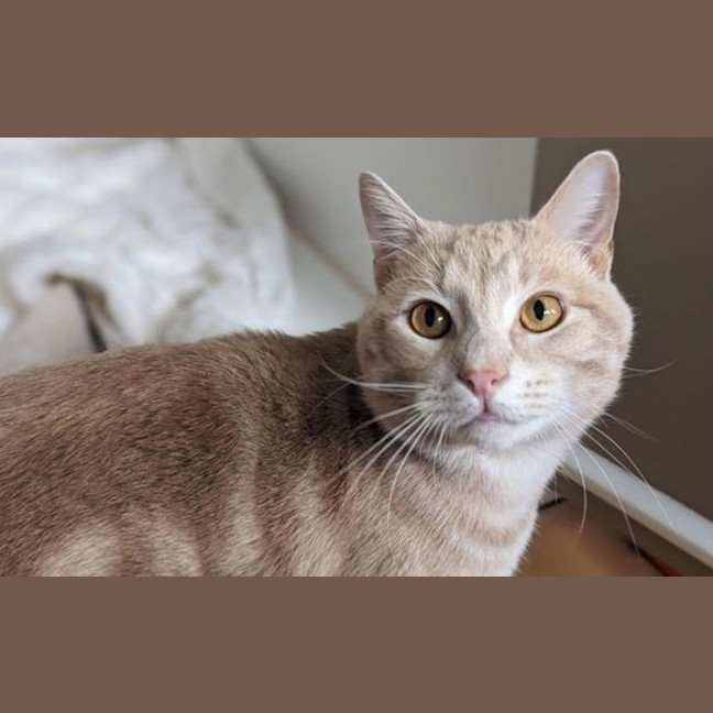 Photo of Kael