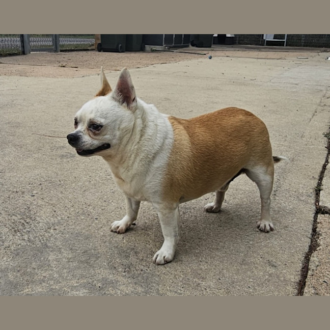 Photo of Tank