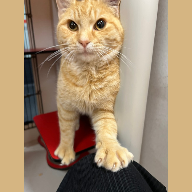 Photo of Aleister 