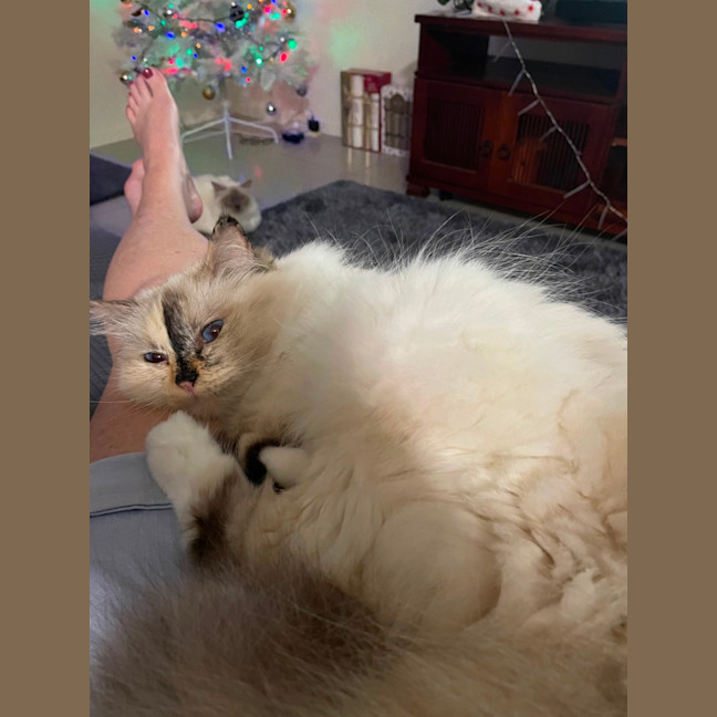 Photo of Kozzie & Anna