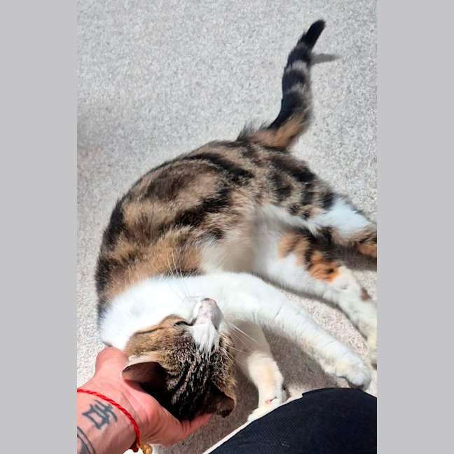 Photo of April (9172)