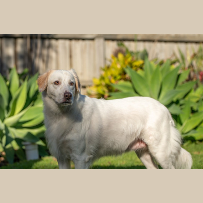 Photo of Ivy