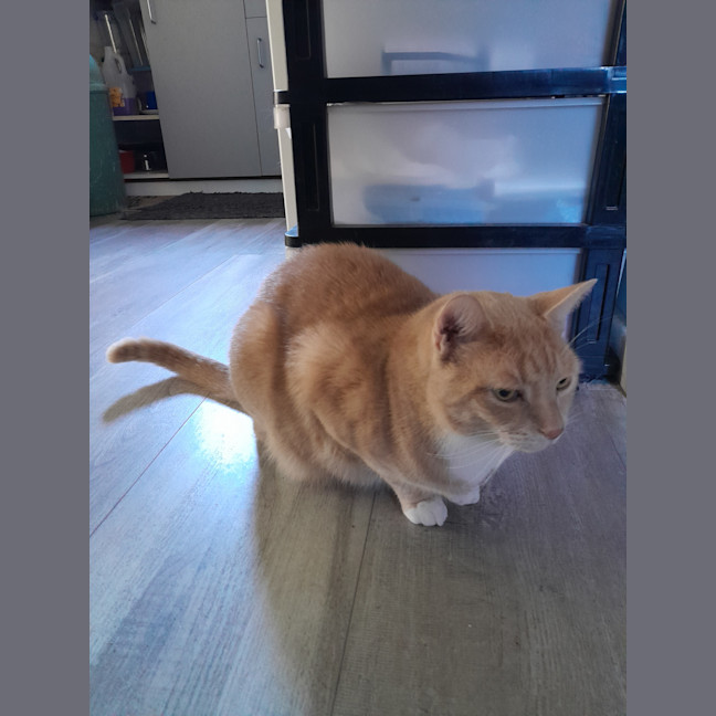 Photo of Elio