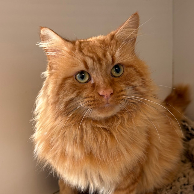 Photo of Harold