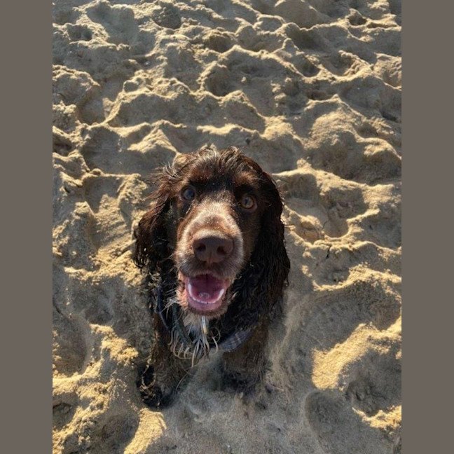 Photo of Khai Illingworth