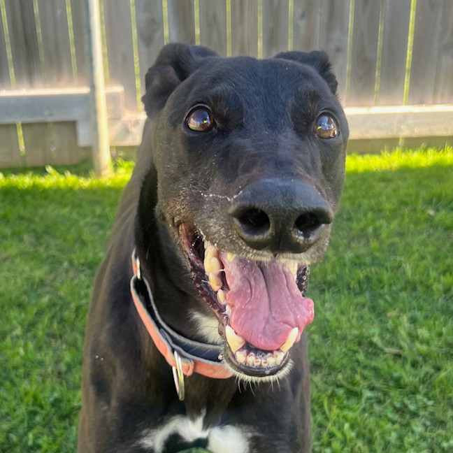 Photo of Jonah