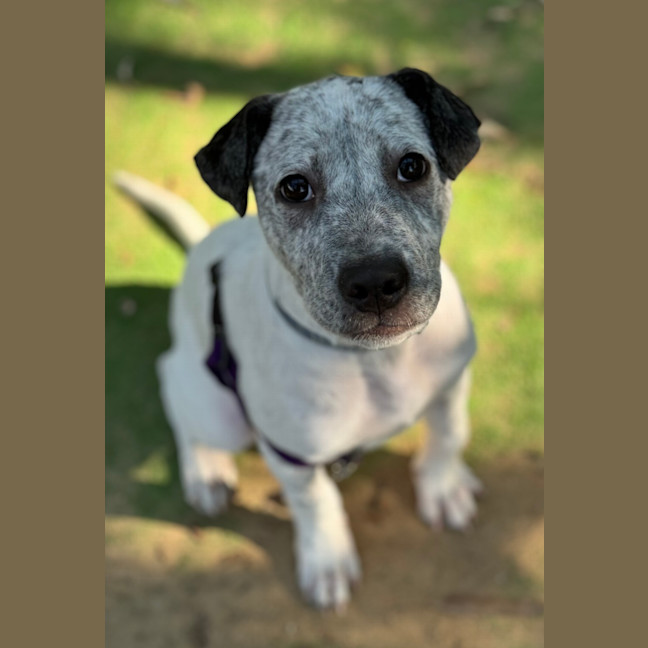 Photo of Bubble