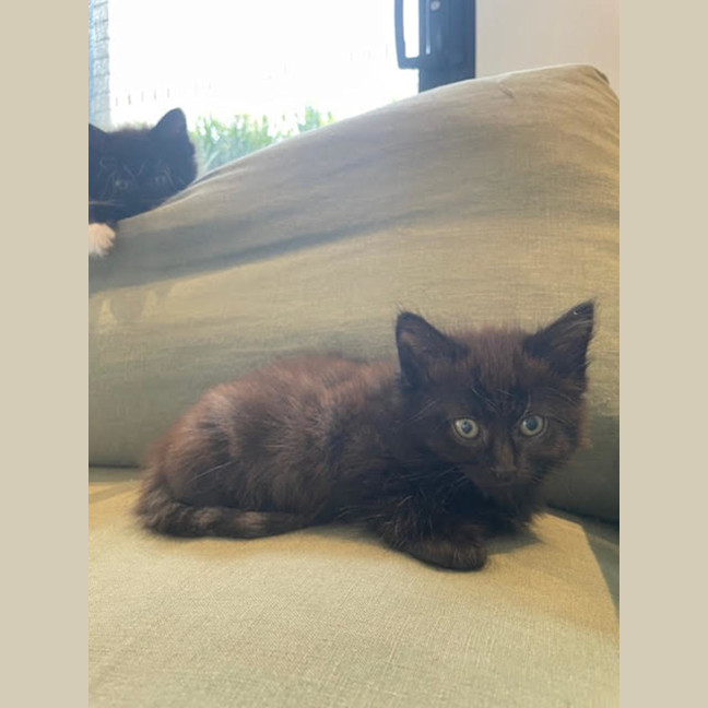 Photo of Spook