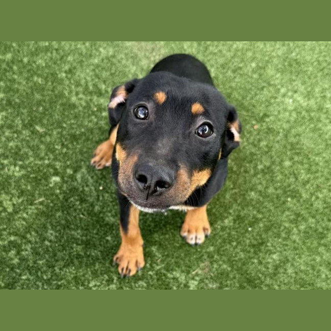 Photo of Paul Imp 219