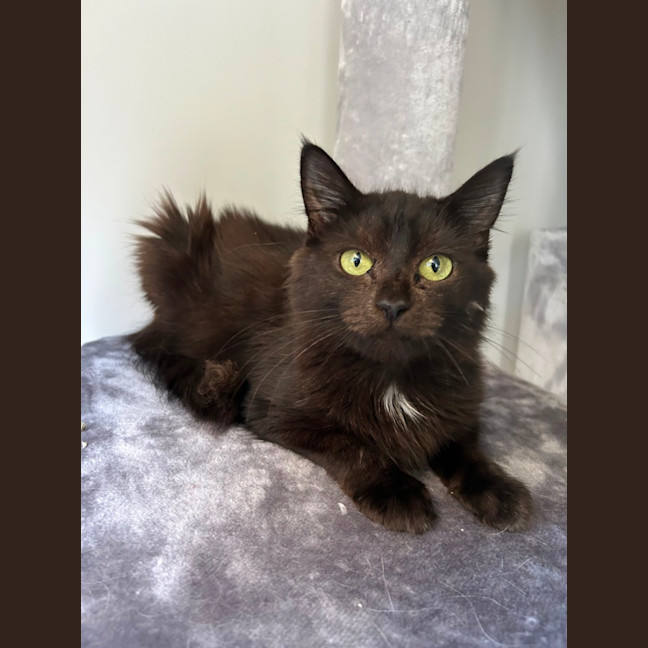 Photo of Harper 🩷 