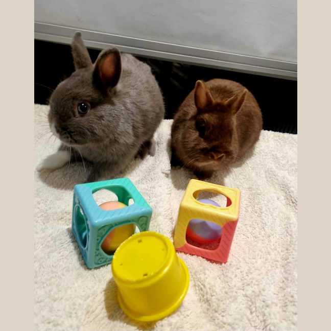 Photo of Thor And Loki The Gods Of Mischief & Thunder