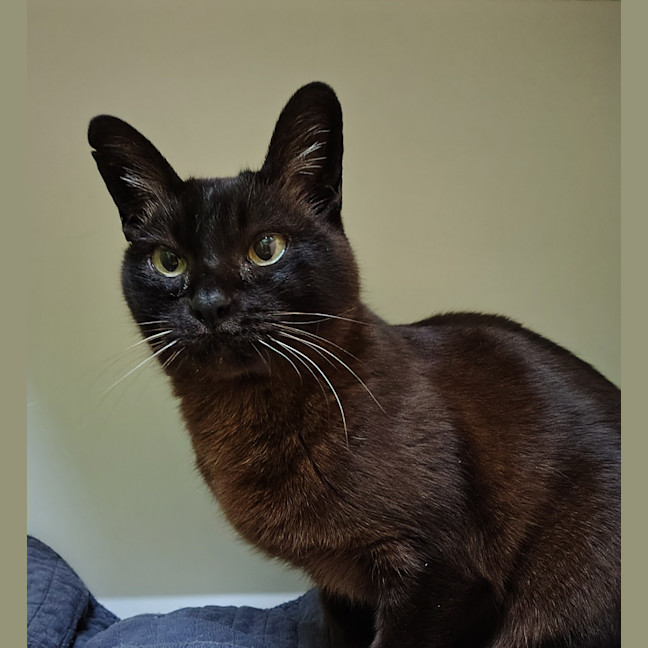 Photo of Kiki