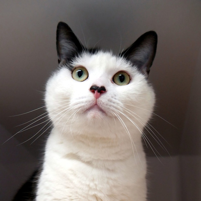 Photo of Poh Sta013967