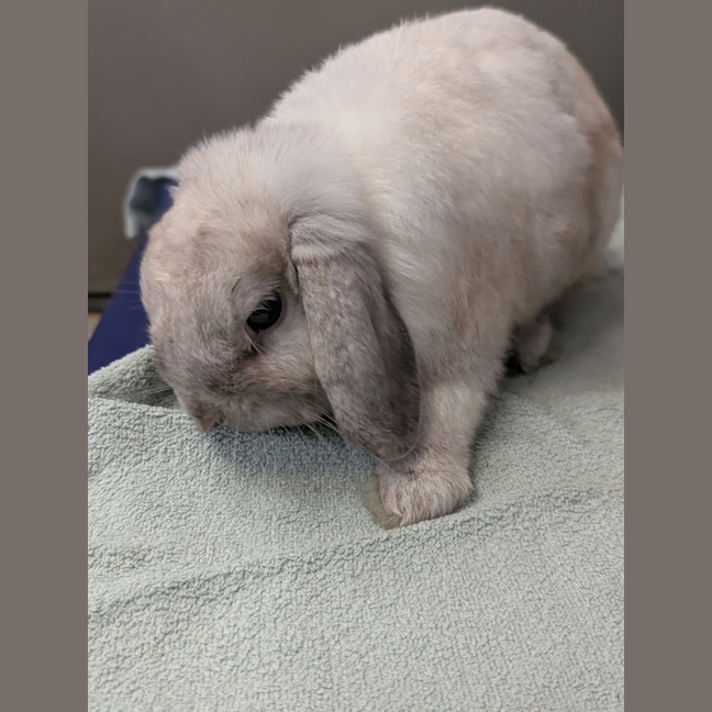 Photo of Kenny
