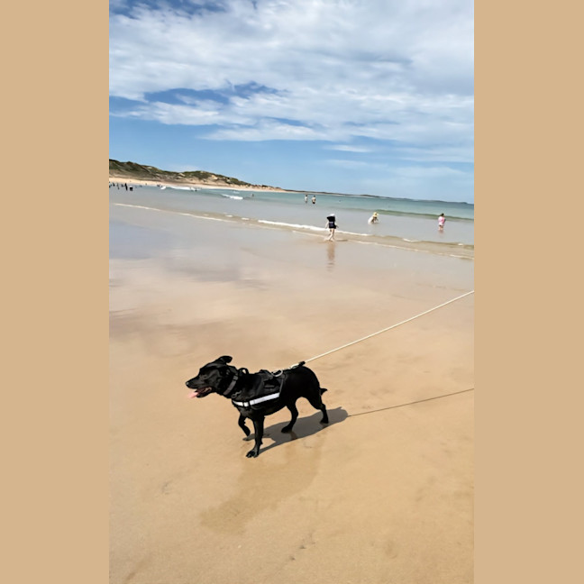 Photo of Luna