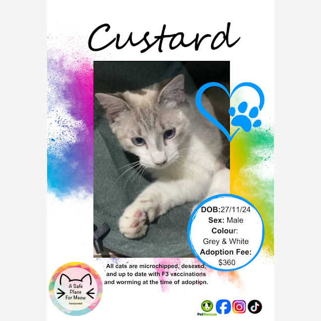 Photo of Custard