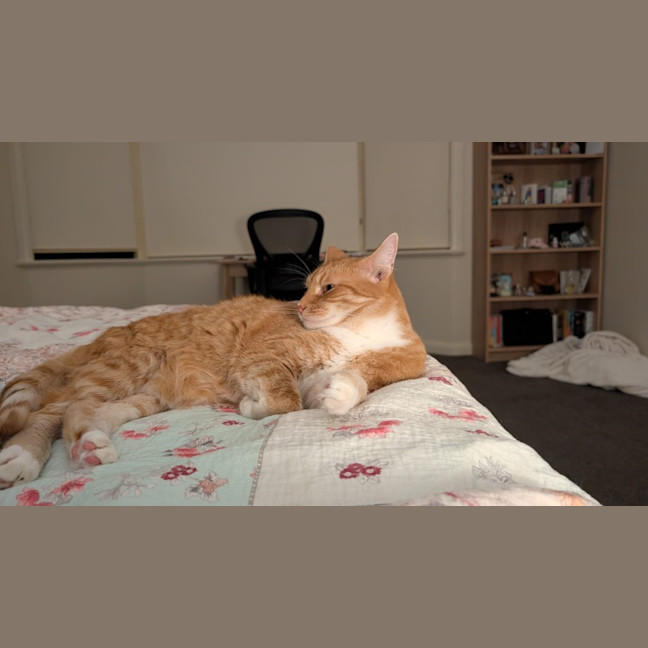 Photo of Goldie