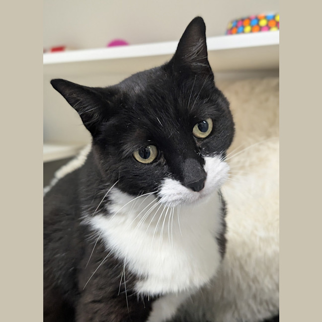 Photo of Postman Pat