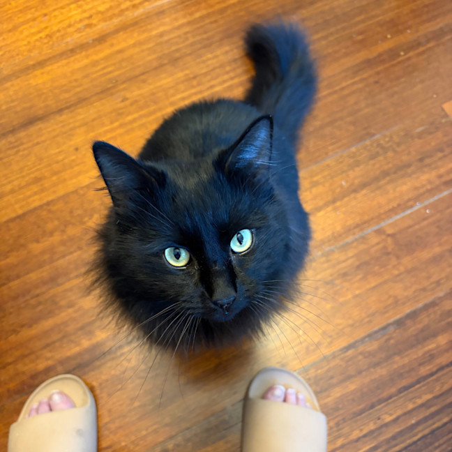 Photo of Gilbert